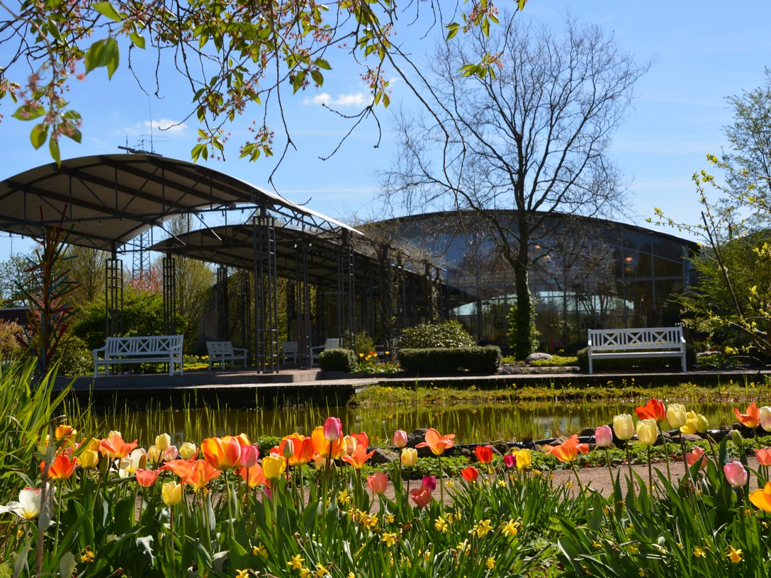 Blumenreich | Gartenpark Gartenpark Wiesmoor, Bänke, TulpenWiesmoor garden park, benches, tulipsWiesmoor havepark, bænke, tulipanerWiesmoor tuinpark, bankjes, tulpen