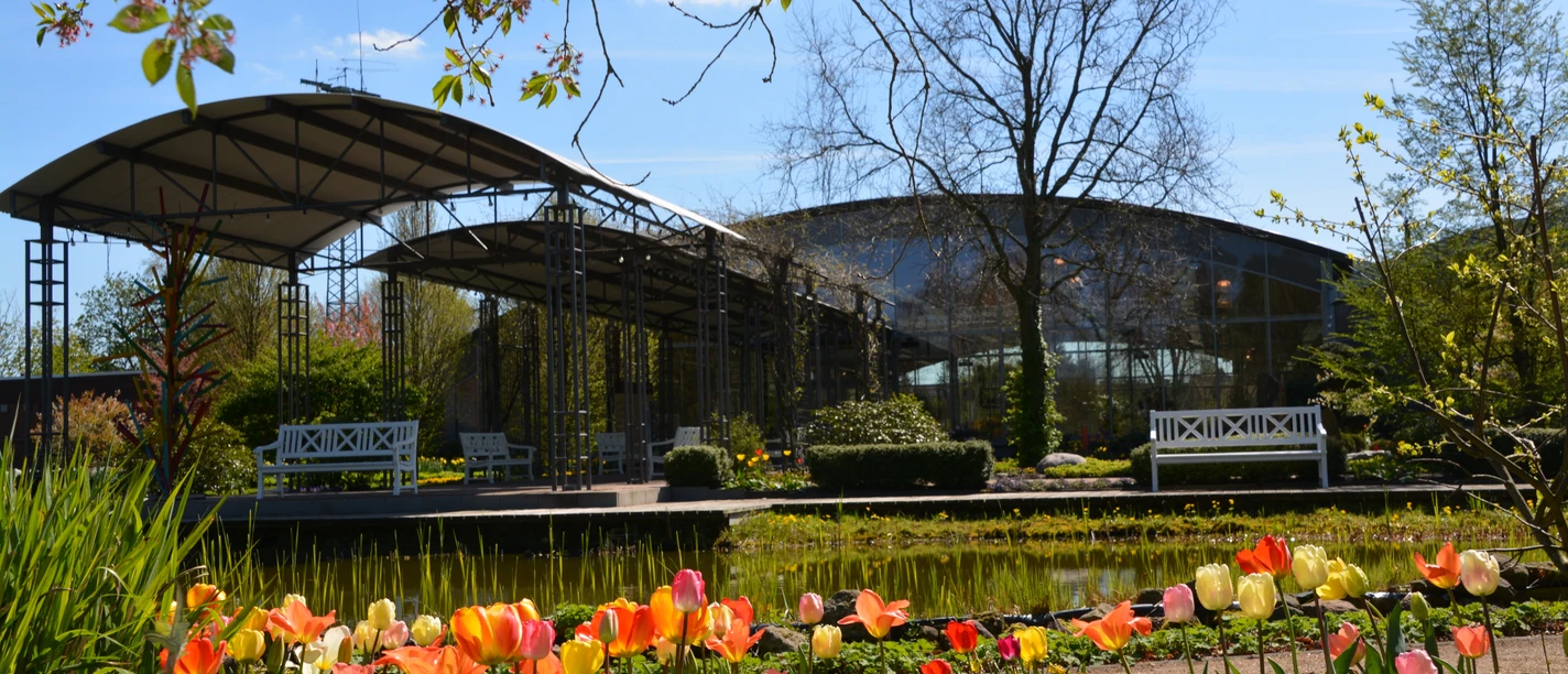Blumenreich | Gartenpark Gartenpark Wiesmoor, Bänke, Tulpen
