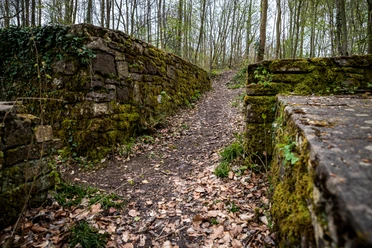 Ruine der Wittekindsburg in Wallenhorst