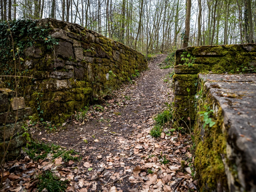 Ruine der Wittekindsburg in Wallenhorst