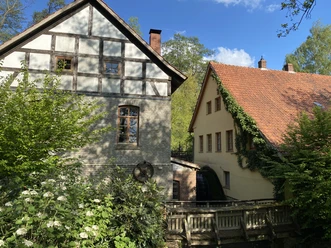 Historische Wassermühle mit Fachwerk und bewachsenem Dach, umgeben von Bäumen im Sonnenschein.