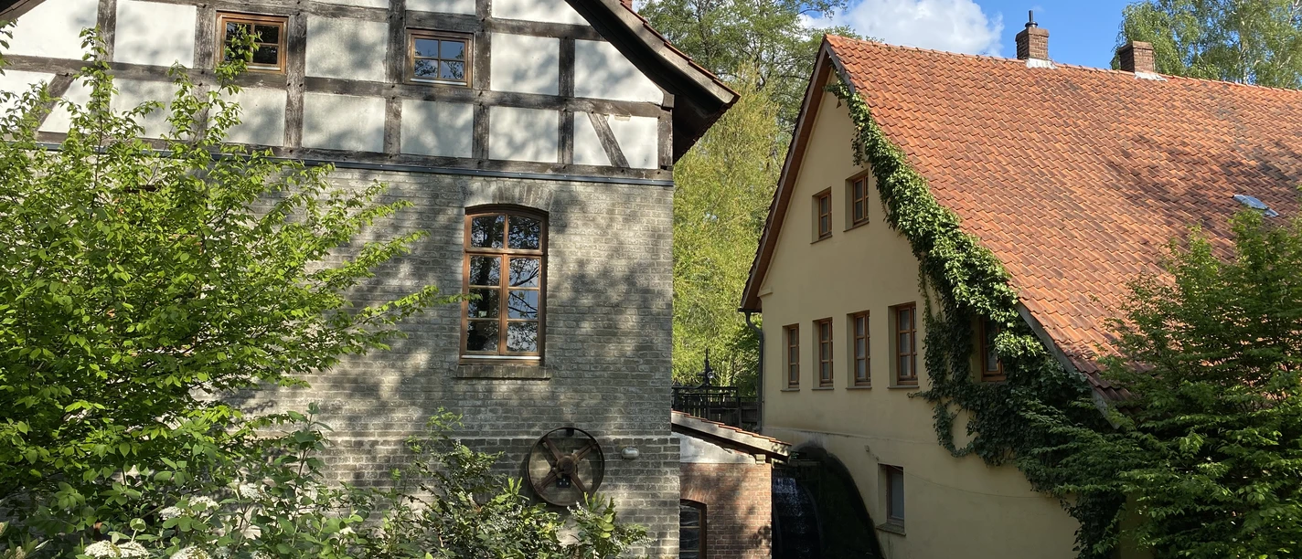 Historische Wassermühle mit Fachwerk und bewachsenem Dach, umgeben von Bäumen im Sonnenschein.