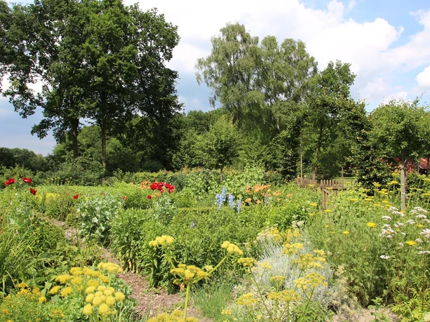 Bauerngarten Rühle Blühender Bauerngarten mit roten, gelben und blauen Blumen, umgeben von Bäumen und Holzzaun.