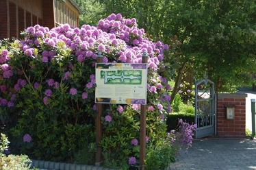 Garten des Nazareners (Bibelgarten) Eingang zum Bibelgarten mit blühenden Rhododendren, Informationstafel und offenem Eisengittertor.