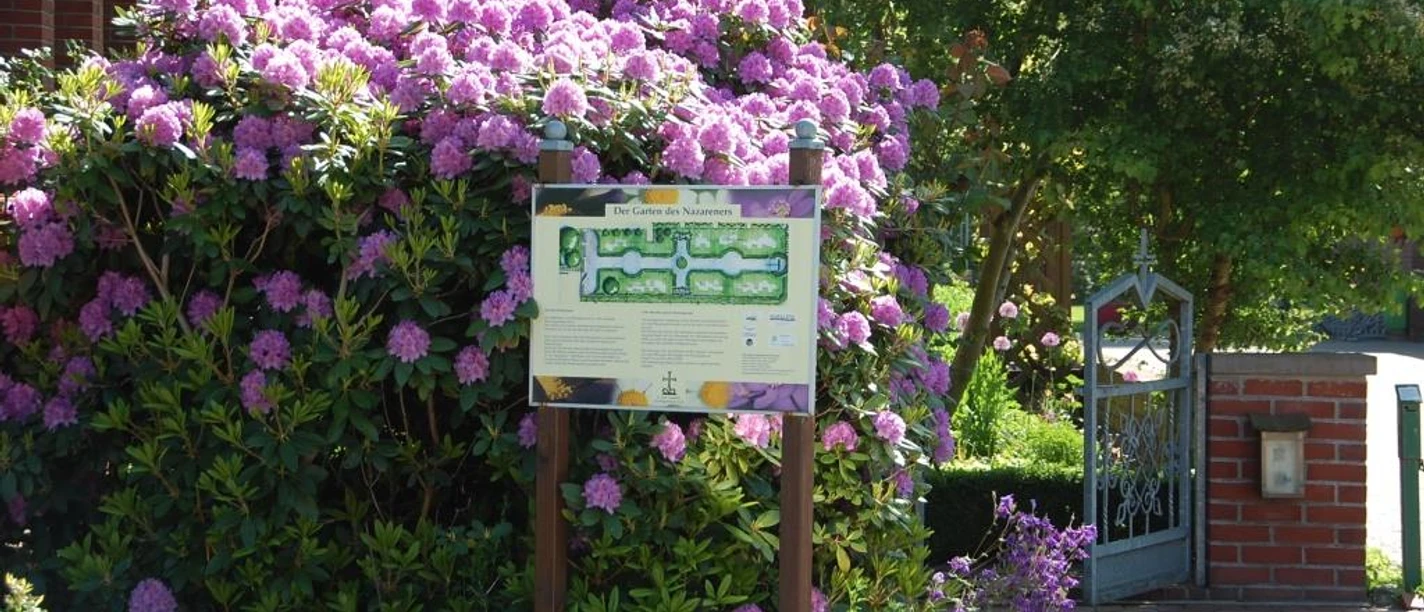 Garten des Nazareners (Bibelgarten) Eingang zum Bibelgarten mit blühenden Rhododendren, Informationstafel und offenem Eisengittertor.