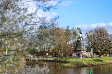 Höltingmühle Historische Windmühle am Flussufer mit blühenden Zweigen im Vordergrund und blauem Himmel.