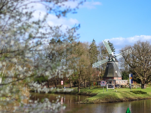 Höltingmühle Historische Windmühle am Flussufer mit blühenden Zweigen im Vordergrund und blauem Himmel.