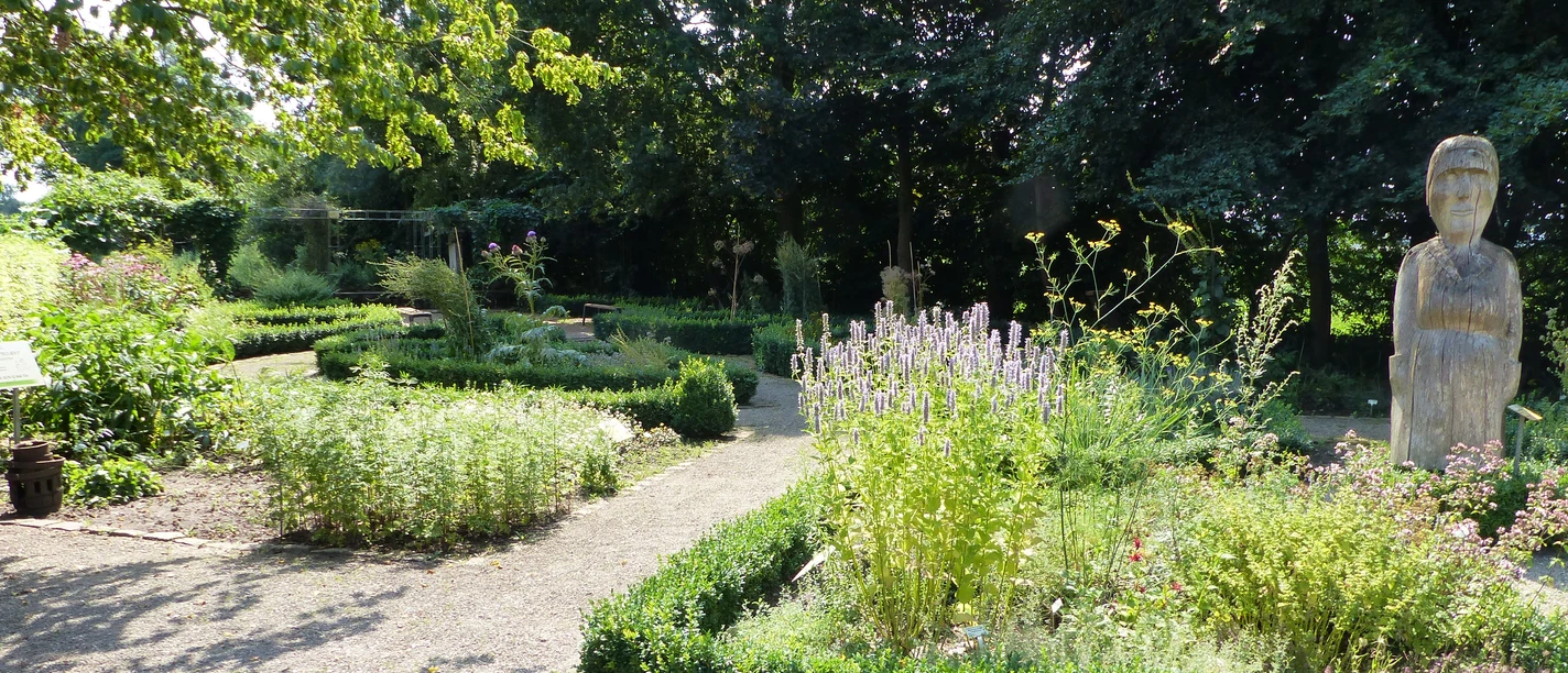 Kräutergarten an der Mersmühle Kräuterbeete mit blühenden Pflanzen und Holzfigur im grünen Garten an der historischen Mersmühle.