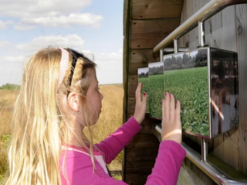 mini_NP_Moor_Wiedervernaessungslehrpfad_20_FotoFranz_2792.jpg Ein Kind betrachtet drehbare Infotafeln zum Moor auf einem hölzernen Lehrpfad bei sonnigem Wetter.