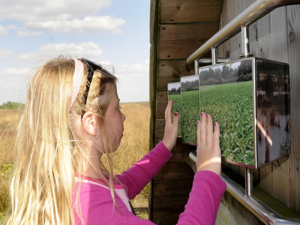 mini_NP_Moor_Wiedervernaessungslehrpfad_20_FotoFranz_2792.jpg Ein Kind betrachtet drehbare Infotafeln zum Moor auf einem hölzernen Lehrpfad bei sonnigem Wetter.