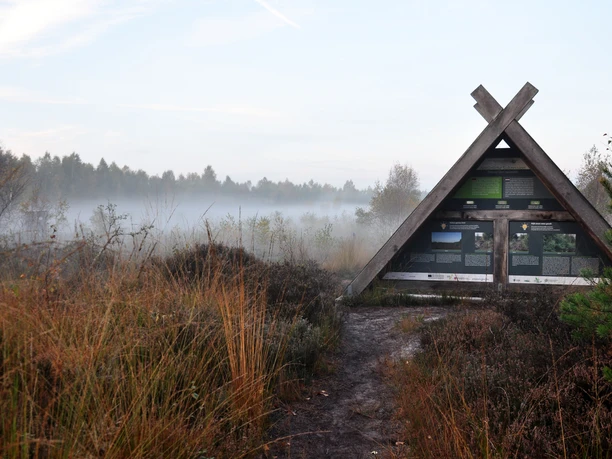 Löwenzahnentdeckertouren Fullener Wald Holztafeln im Dreiecksrahmen informieren im nebligen Moorwald über Natur und Tierwelt.