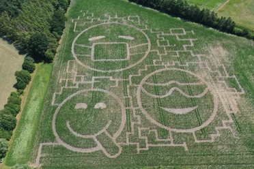 Maislabyrinth Meutstege Luftaufnahme eines Maisfelds mit großen Irrgangmustern in Form von drei lächelnden Emoji-Gesichtern