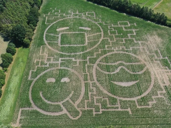 Maislabyrinth Meutstege