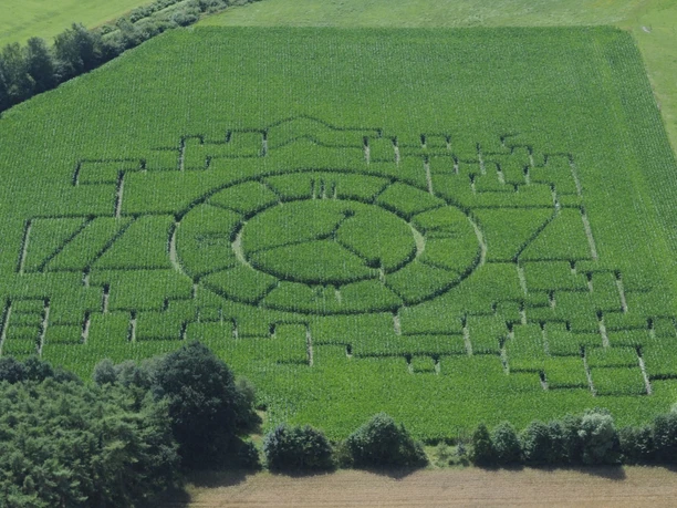 Maislabyrinth Meutstege Luftaufnahme eines großen Maislabyrinths mit kreisförmigem Muster auf einem grünen Feld im Emsland