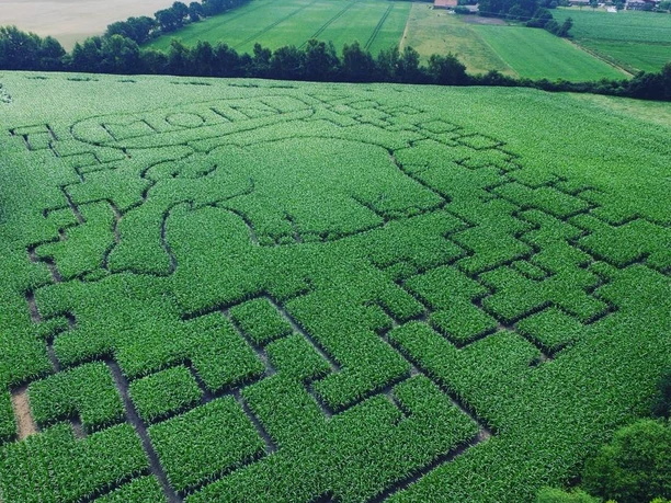 Maislabyrinth Meutstege Luftaufnahme eines großen Maislabyrinths mit Elefantenmotiv, umgeben von grünen Feldern und Bäumen