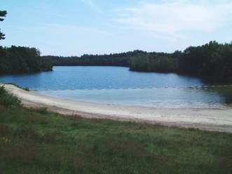 Schlagbrückener See Sandstrand mit flach abfallendem Ufer am klaren Schlagbrückener See, umgeben von dichtem Wald.