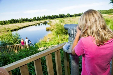 MoorInfoPfad Esterwegen Kind blickt durch ein Fernrohr über den Moorpfad mit Teich, Pflanzen und zwei Spaziergängern in der Ferne.