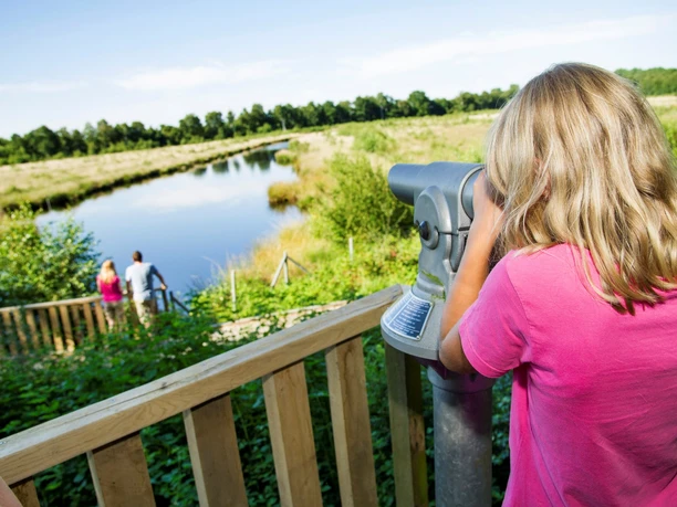 MoorInfoPfad Esterwegen Kind blickt durch ein Fernrohr über den Moorpfad mit Teich, Pflanzen und zwei Spaziergängern in der Ferne.