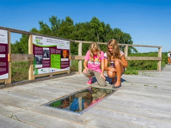 MoorInfoPfad Esterwegen