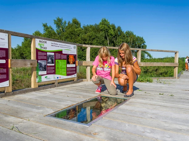 MoorInfoPfad Esterwegen Zwei Kinder betrachten auf dem Holzsteg des MoorInfoPfads eine Glasplatte mit Spiegelung im Sonnenlicht.