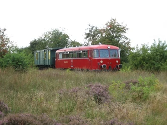 Museumseisenbahn Hümmlinger Kreisbahn Roter Triebwagen mit grünem Waggon fährt durch blühende Heide im Naturpark Hümmling.