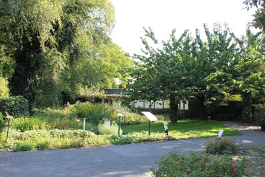 Naschkes Garten Grüner Garten mit Infotafeln, hohen Bäumen, blühenden Pflanzen und sonnigem Weg aus Pflastersteinen.