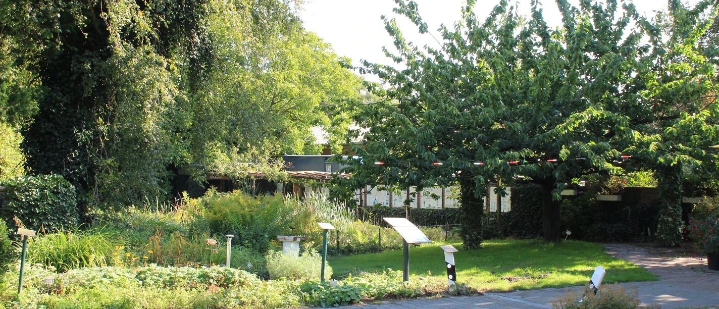 Naschkes Garten Grüner Garten mit Infotafeln, hohen Bäumen, blühenden Pflanzen und sonnigem Weg aus Pflastersteinen.
