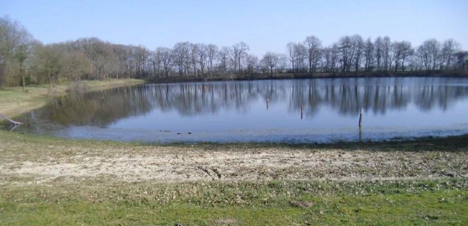Naturbad an der Borsumer Straße