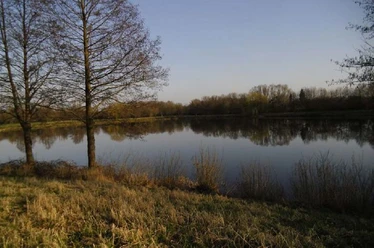 Naturbad Surfsee in Bokel Ruhiger Badesee mit klarer Wasserfläche, umgeben von Bäumen und naturbelassenem Ufergras.