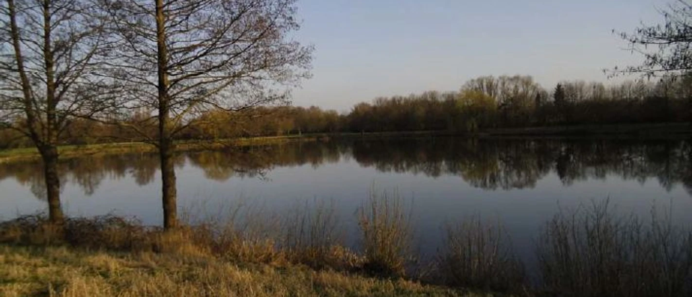 Naturbad Surfsee in Bokel Ruhiger Badesee mit klarer Wasserfläche, umgeben von Bäumen und naturbelassenem Ufergras.