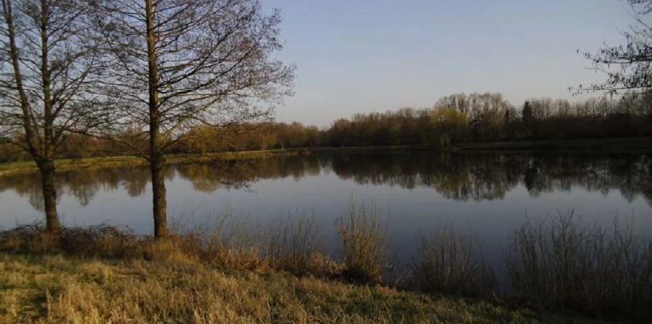 Naturbad Surfsee in Bokel
