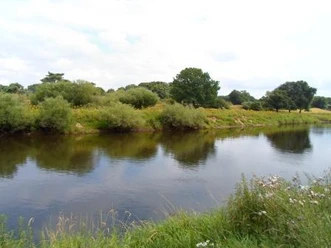 Naturerlebnis-Lehrpfad Wachendorf Grüner Uferbereich mit Bäumen und Sträuchern am ruhigen Flusslauf des Naturerlebnis-Lehrpfads Wachendorf.