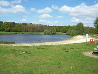Natursee Campingplatz Grüne Wiese mit Blick auf einen kleinen See, hellem Sandstrand und umgebendem Waldgebiet.