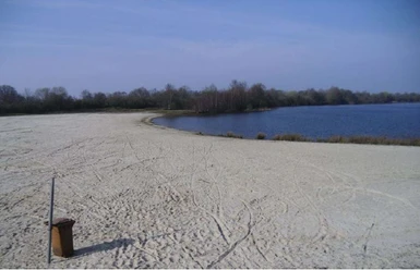 Spieksee Weitläufiger Sandstrand mit Blick auf einen klaren Badesee und umgebenden Baumstreifen.