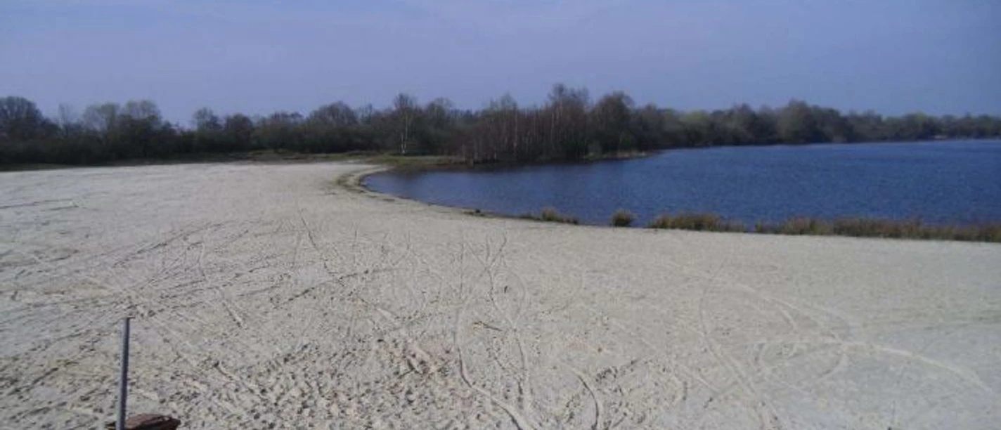 Spieksee Weitläufiger Sandstrand mit Blick auf einen klaren Badesee und umgebenden Baumstreifen.