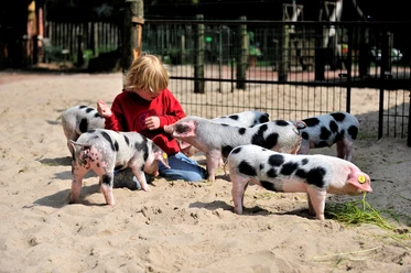 Tierpark Nordhorn