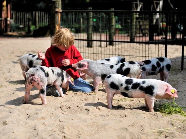 Tierpark Nordhorn