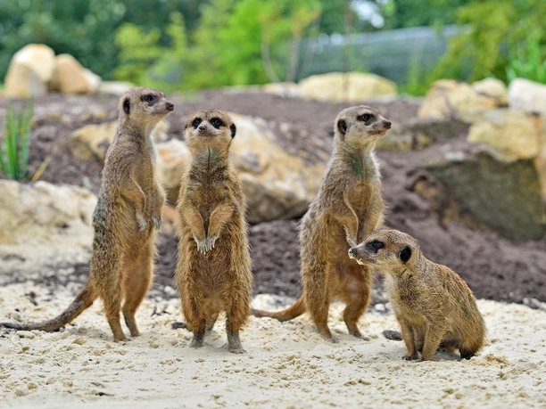 Tierpark Nordhorn