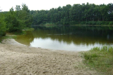 Tunxdorfer Waldsee Sandstrand am Ufer des Tunxdorfer Waldsees mit ruhigem Wasser und dicht bewachsenem Waldrand.
