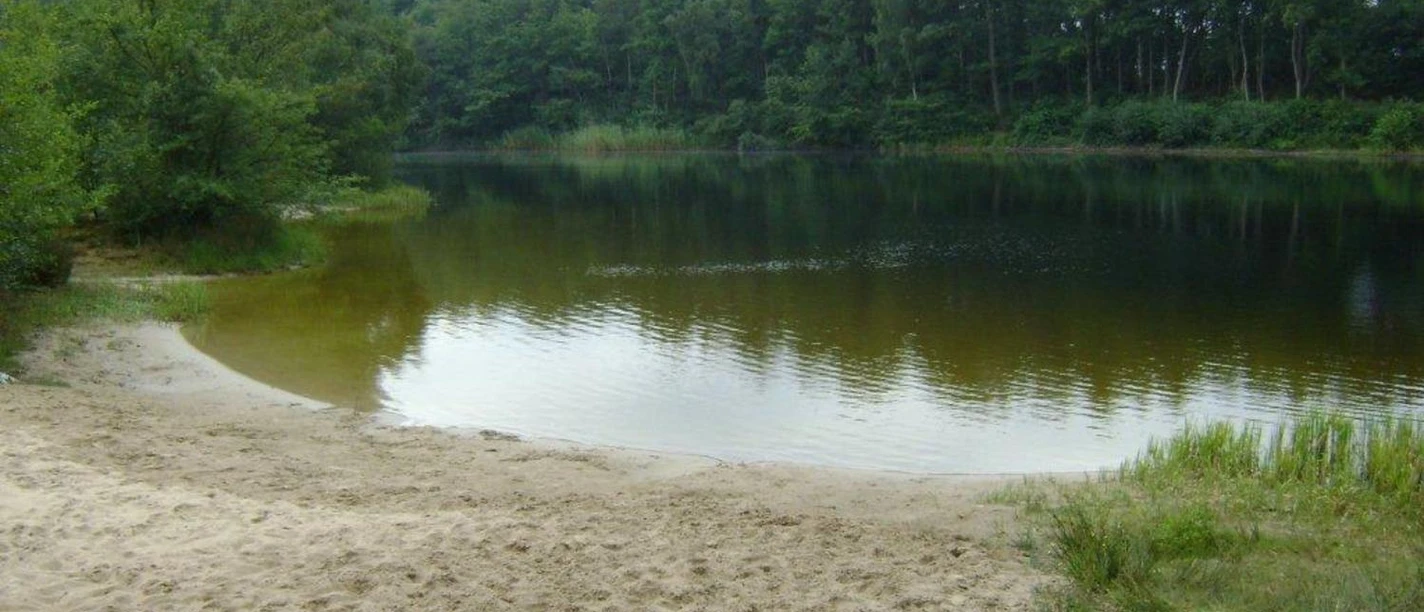 Tunxdorfer Waldsee Sandstrand am Ufer des Tunxdorfer Waldsees mit ruhigem Wasser und dicht bewachsenem Waldrand.