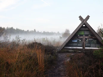 moor-info-h-uschen-01 Holzernes Infohäuschen am Moorweg vor nebelverhangener Landschaft mit Gräsern und Bäumen.