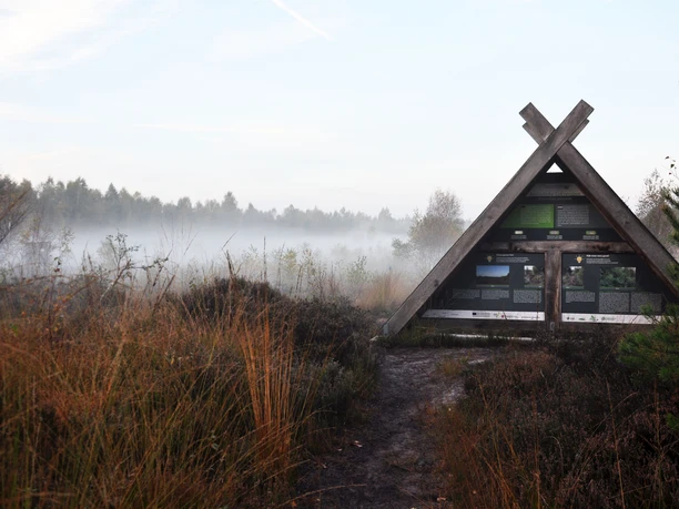 moor-info-h-uschen-01 Holzernes Infohäuschen am Moorweg vor nebelverhangener Landschaft mit Gräsern und Bäumen.