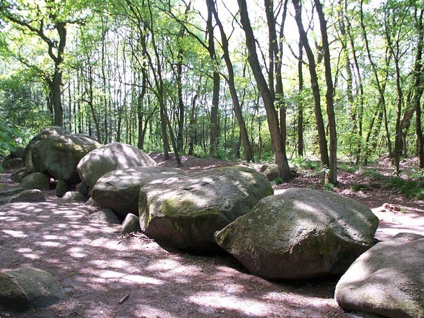 Grosssteingrab_De_hoogen_Stainer_Werlte.jpg Große, moosbedeckte Findlinge eines prähistorischen Steingrabs im lichten Wald bei Werlte.