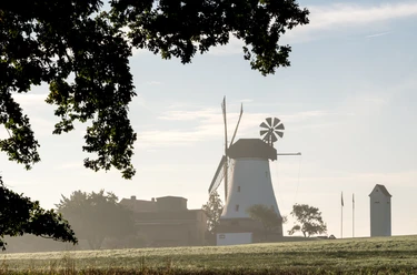 Windmühle Lechtingen Windmühle in weiter Landschaft, flankiert von Bäumen und leichtem Morgennebel.