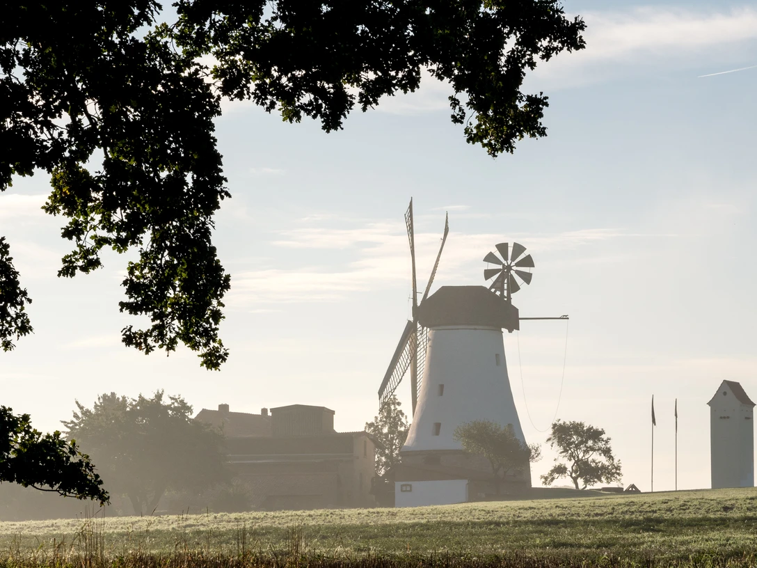 Windmühle Lechtingen Windmühle in weiter Landschaft, flankiert von Bäumen und leichtem Morgennebel.