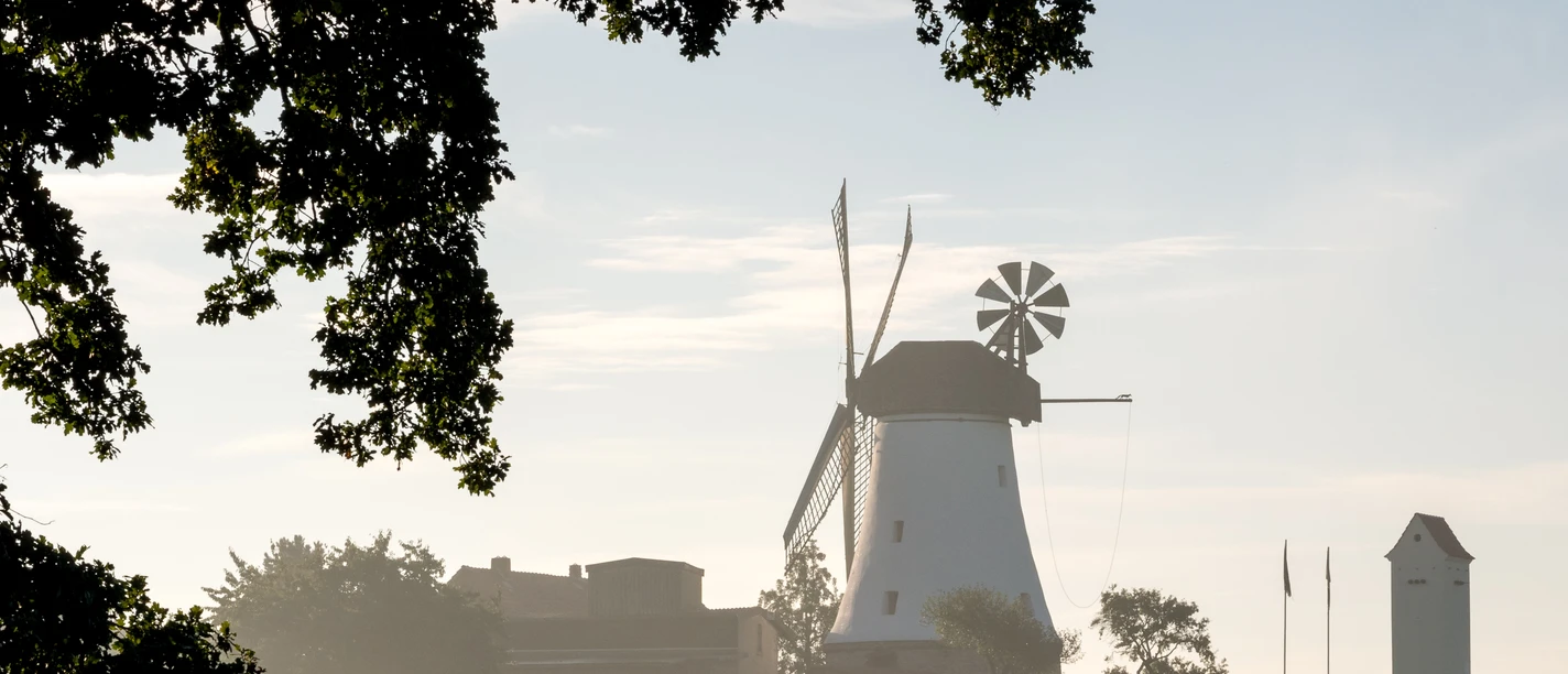 Windmühle Lechtingen Windmühle in weiter Landschaft, flankiert von Bäumen und leichtem Morgennebel.