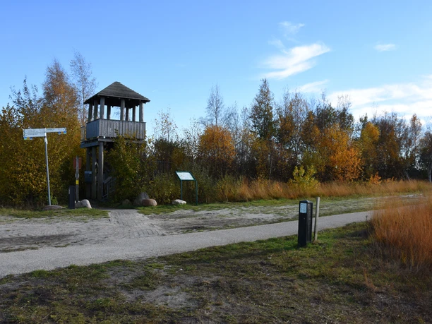 Vogelbeobachtungsturm am Bargerveen Holzturm zur Vogelbeobachtung am Rand eines Weges, umgeben von herbstlich gefärbten Bäumen.