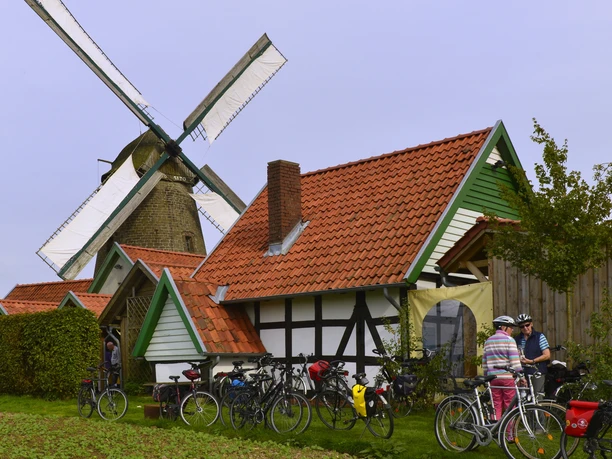 Westhoyeler Wallholländer Windmühle