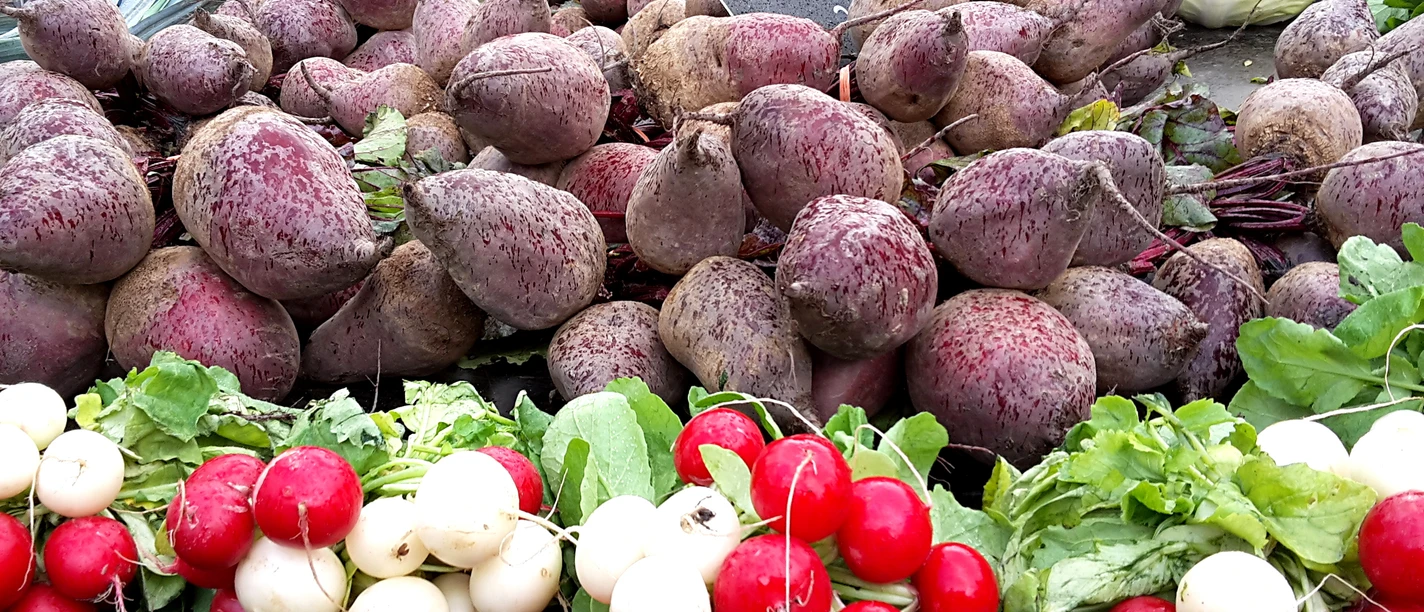 Hof Heringhaus in Bad Iburg