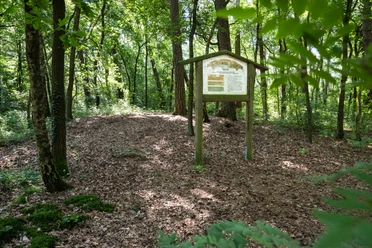 Hügelgräber in den Königstannen